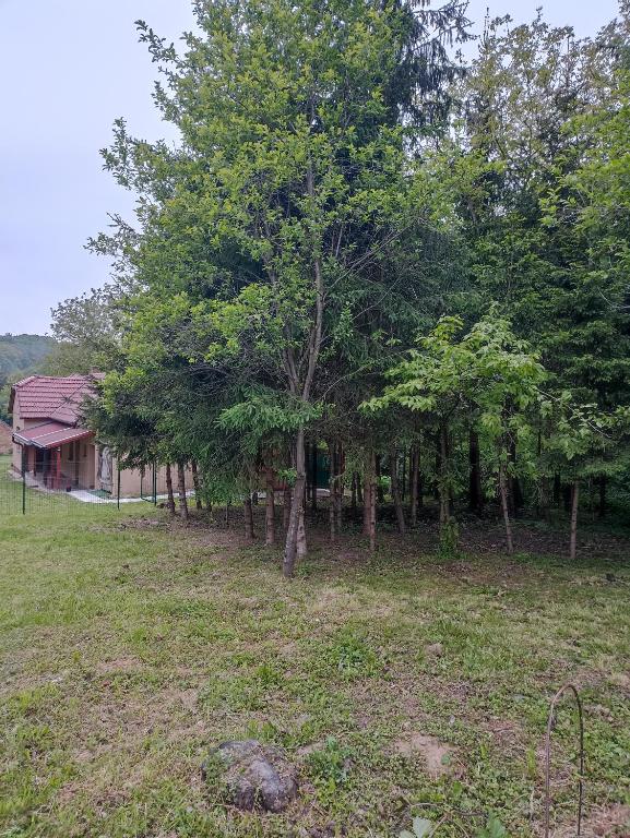 Příroda nedaleko apartmánu