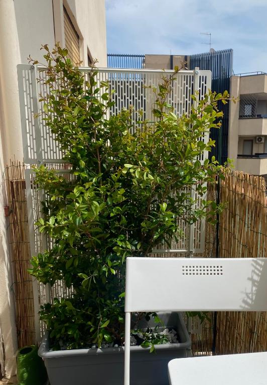 Via Roma a un passo dalle università! - Appartement Standard