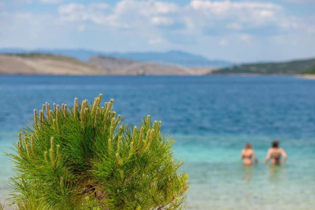 Peisaj natural din apropierea acestui aparthotel