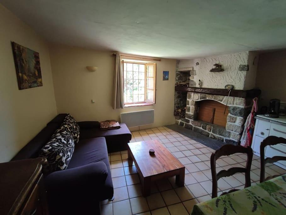 un salon avec un canapé et une cheminée dans l'établissement Maison authentique avec jardin, à Briançon