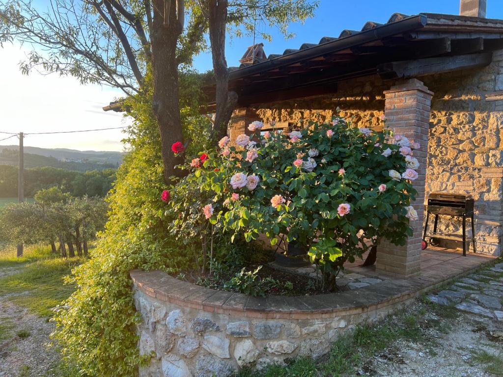 Zahrada ubytování Le case di Lisetta Holiday homes