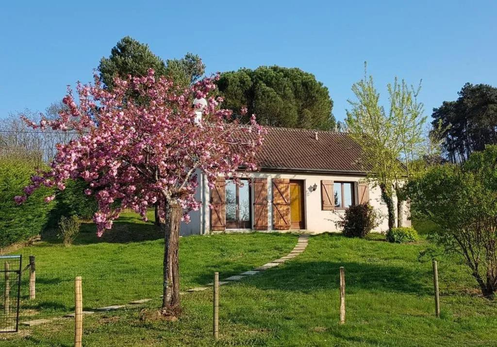 a house with a flowering tree in front of it at Maison charmante à Seigy, vue sur jardin, accepte animaux. in Seigy