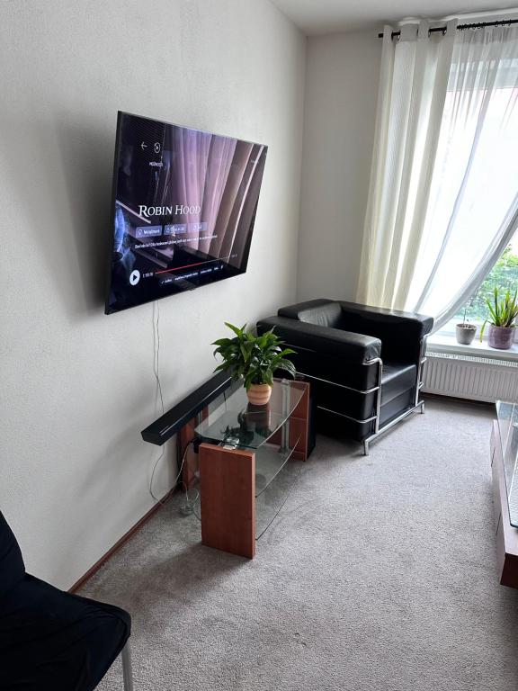 TV a/nebo společenská místnost v ubytování Old Town Apartments Zderadova 6