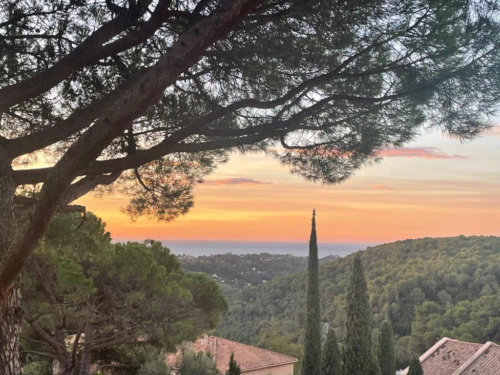 une vue d'une église et d'un arbre dans l'établissement Magnifique appartement vue mer, à Vence