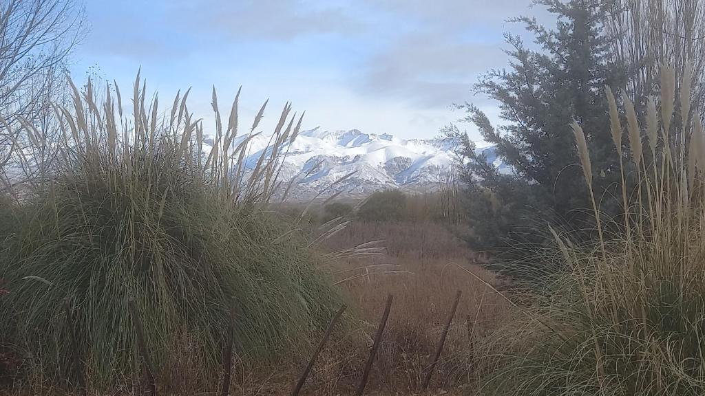 a snow covered mountain in a field with tall grass at Aires del Montura in Uspallata