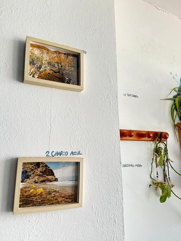 Fotografie z fotogalerie ubytování Agüita House v destinaci Las Palmas de Gran Canaria