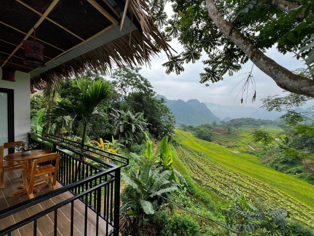 Photo from Puluong Aroma in Huyện Bá Thước, Thanh Hoa, Vietnam