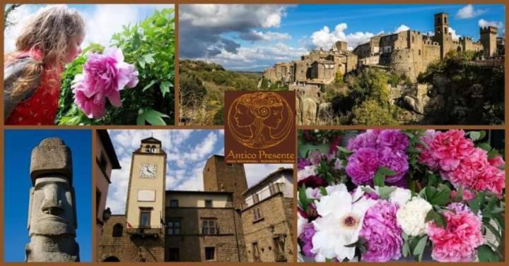 un collage de fotos con un castillo y flores en La Peonia, en Vitorchiano