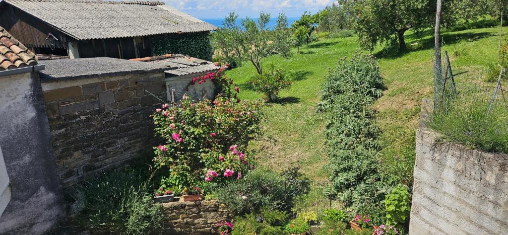 Zahrada ubytování Sea view apartment Renzzo