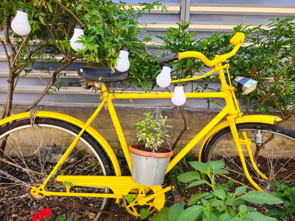 Jazda na bicykli v okolí ubytovania Apartman Moga Dida