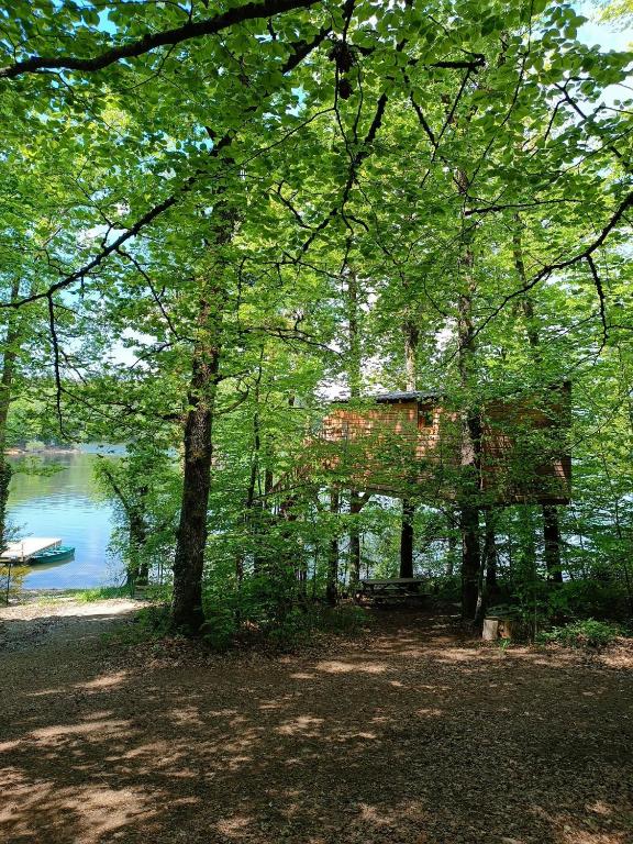 une cabane dans les arbres à côté d'un lac dans l'établissement Les cabanes au bord du lac, à Saint-Gérons
