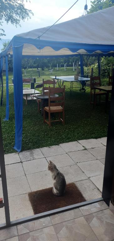 Foto sihtkohas Crnča asuva majutusasutuse AUTO KAMP DRINA galeriist