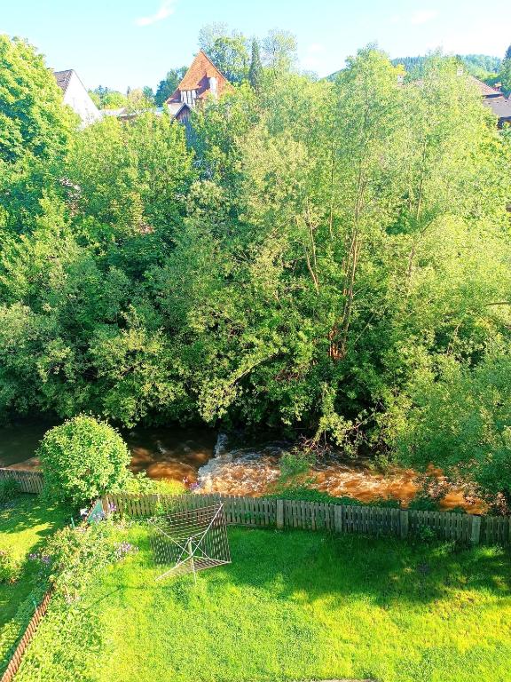 Příroda nedaleko apartmánu