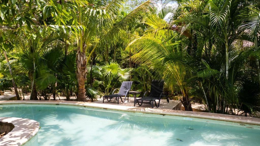 a swimming pool with two chairs and palm trees at Aldea Coba An Escape Boutique Experience in Cobá