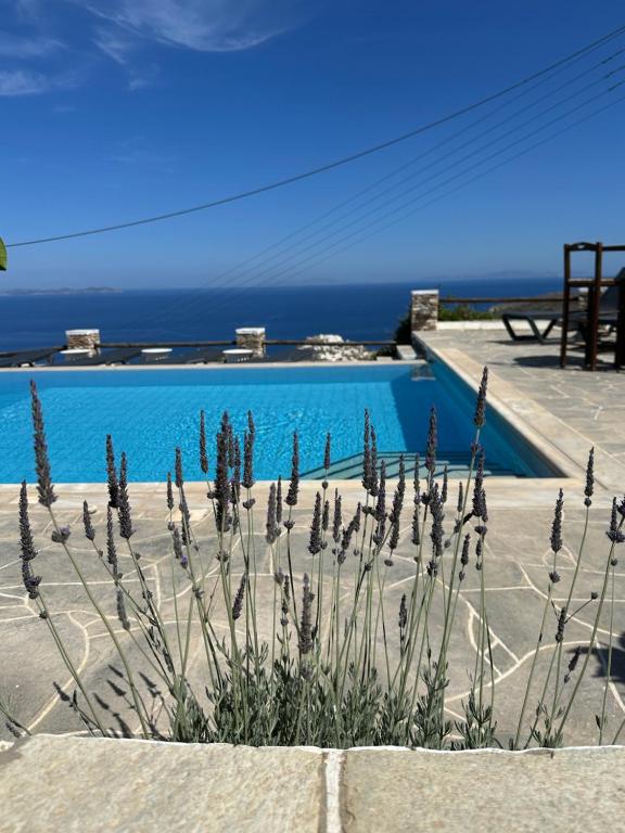 a blue swimming pool with a view of the ocean at Windmill Bella Vista in Artemonas
