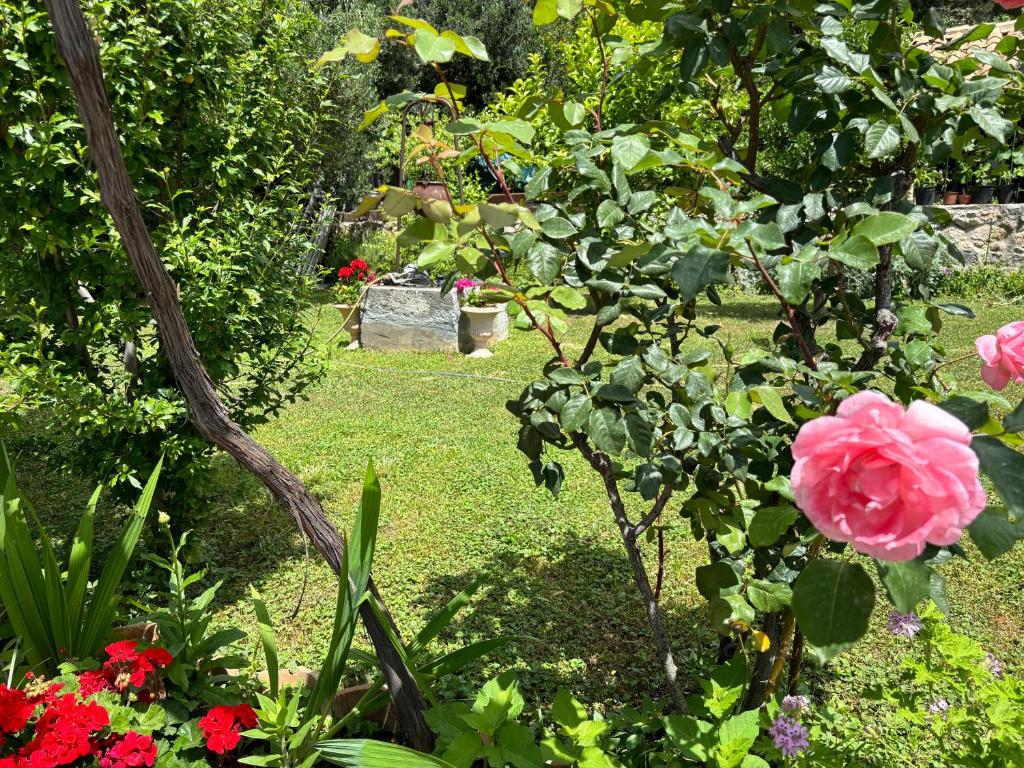 Villa Anica Dubrovnik - luxurious with a sea view - 8