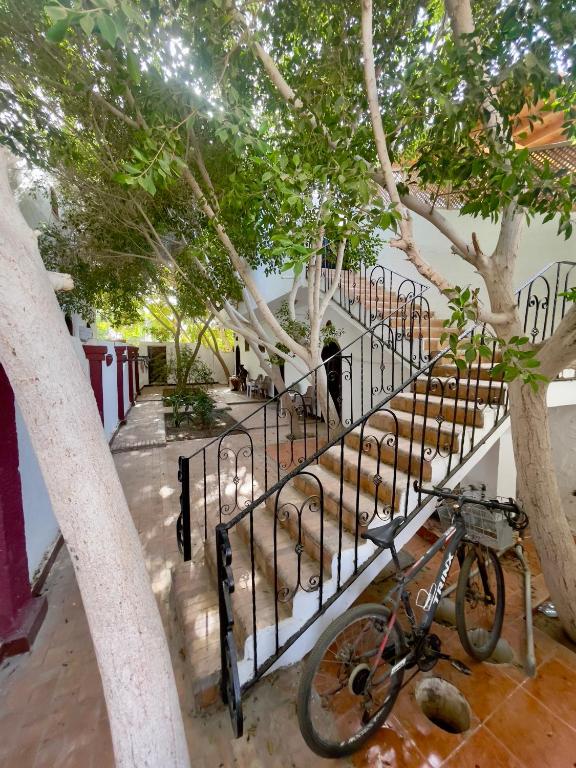 a bike parked next to a fence with trees at Red oasis in Dahab