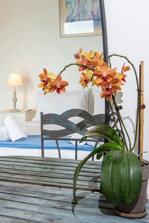 Foto dalla galleria di DIMITRA apartment with private pool and sea view -the ground floor of a two storey building a Daratso