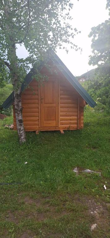 Příroda nedaleko kempu
