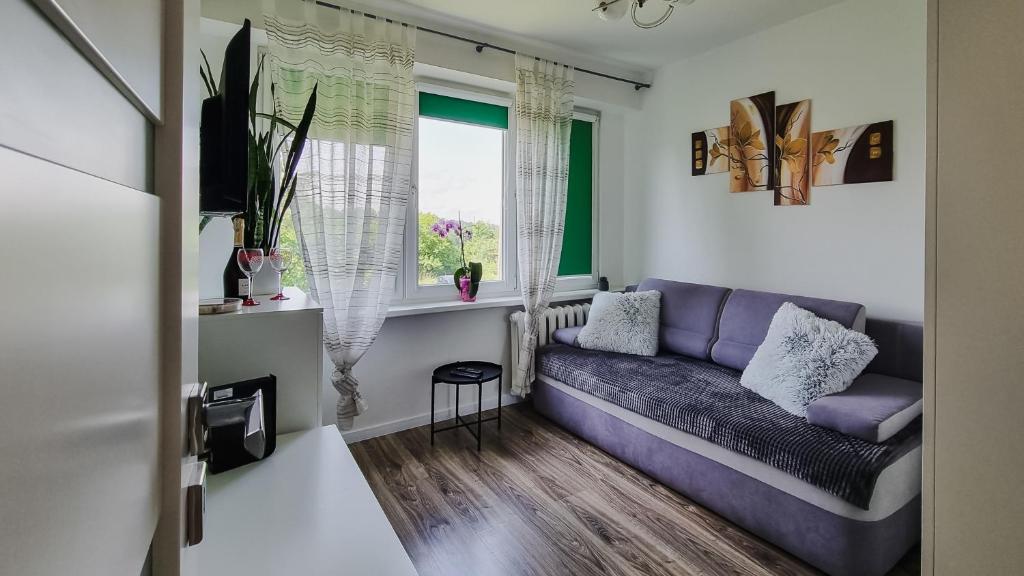 a living room with a purple couch and a window at Krasnal in Ostróda