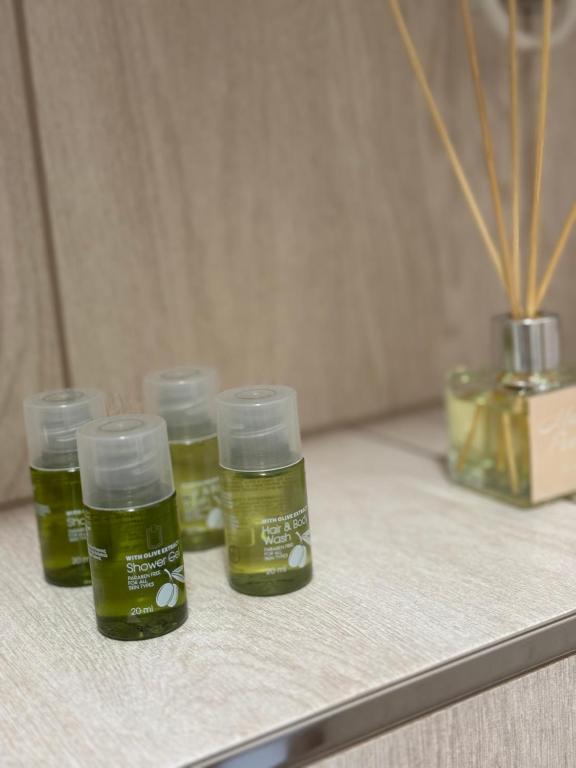 Penzion 4 pokoje - 6