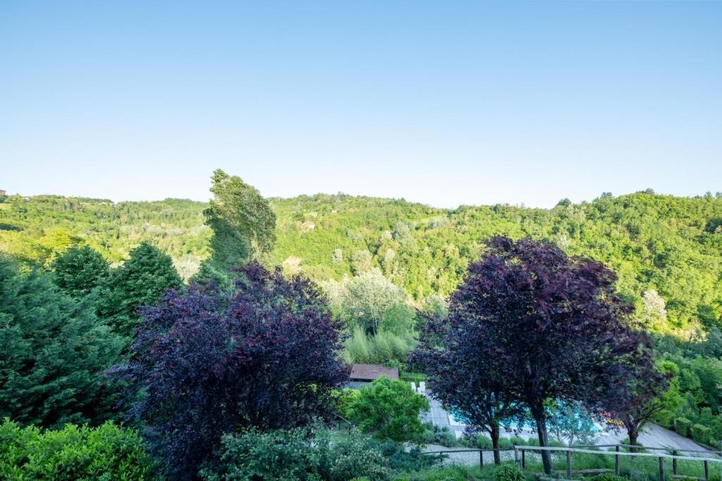 Tenuta Moncarlino