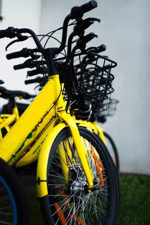 Jazda na bicykli v okolí ubytovania DOMKI POD DĘBEM