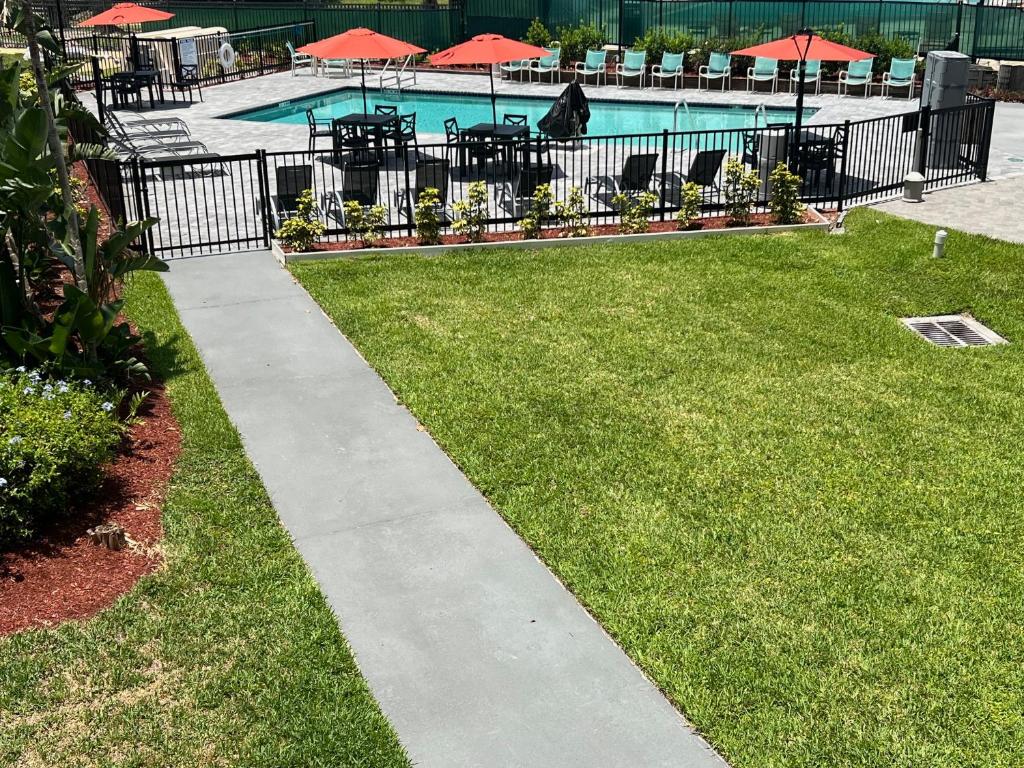 Clarion Inn Orlando International Drive - ICON Park - Superior King Room - Non Smoking