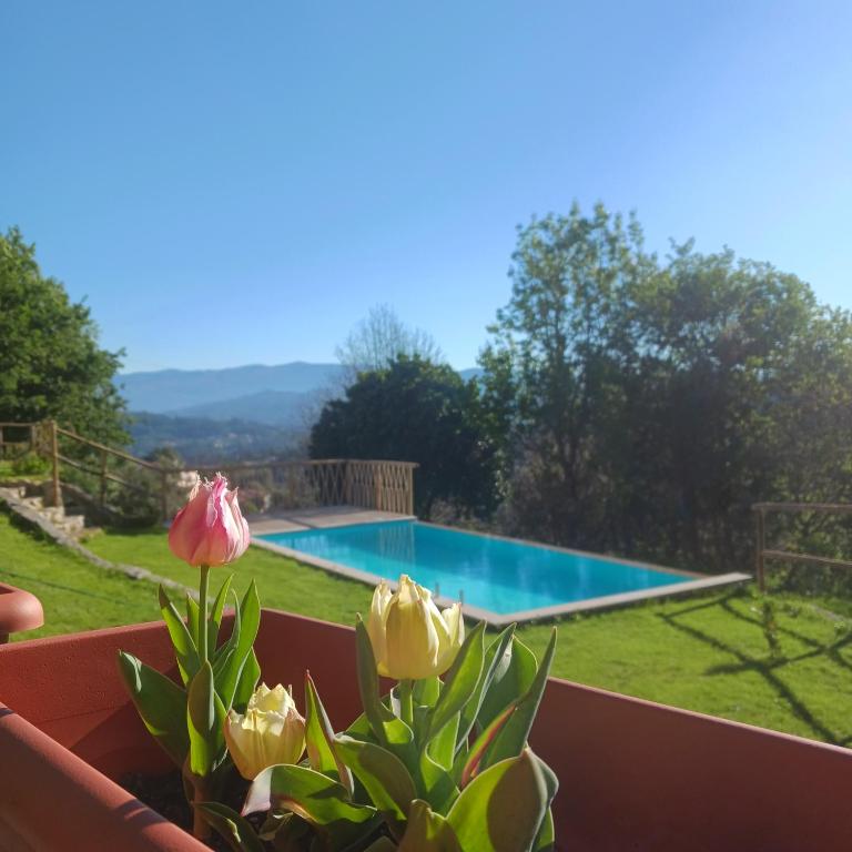 a view of a swimming pool from a plant at Casa de Suelas in Lavradas