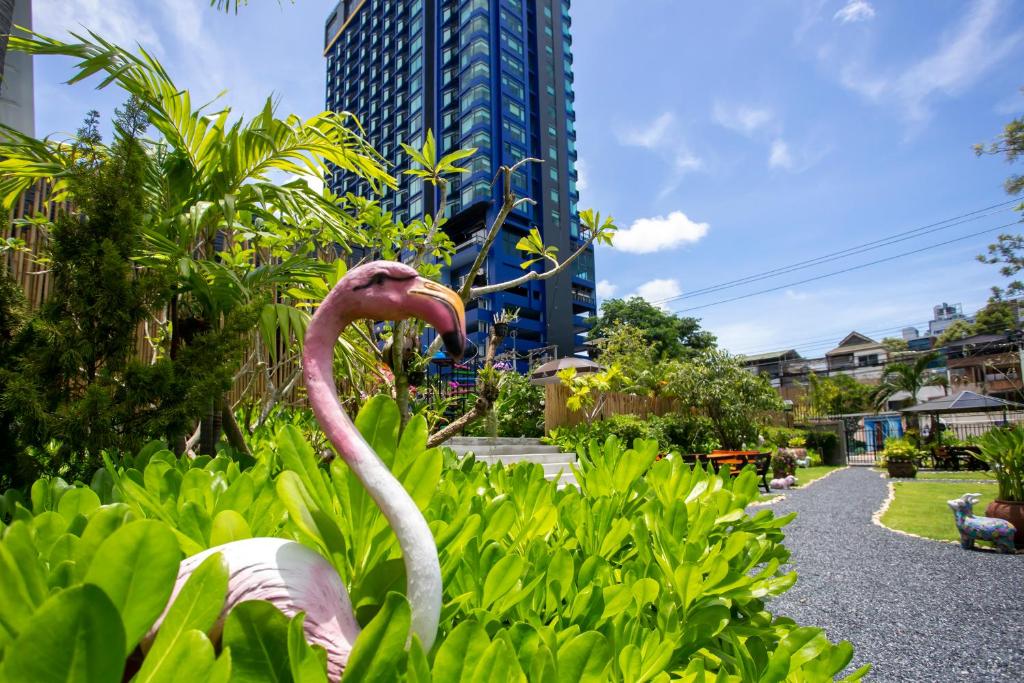 Sabai Inn - Resim 7