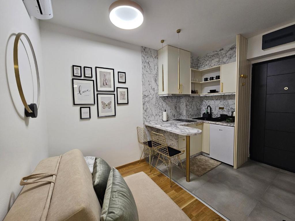 Kuchyň nebo kuchyňský kout v ubytování Studio apartman Gold