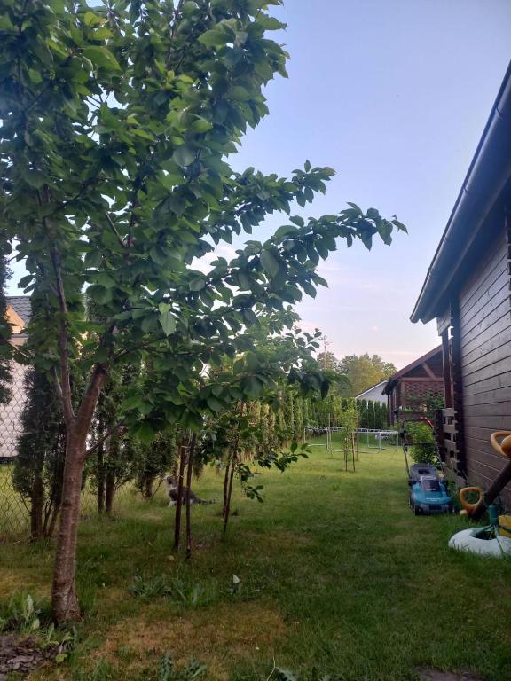 Zahrada ubytování Domki Monte Kristo