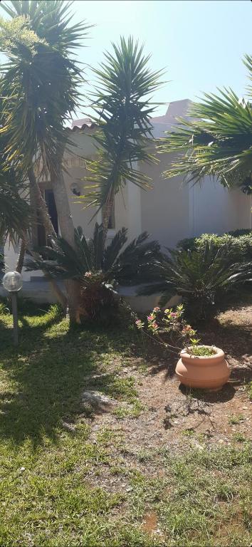 a yard with two palm trees and a building at Villa Salvina Beach in Fontane Bianche