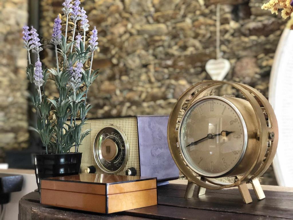 Quinta da Pousada Casa de Campo - 19