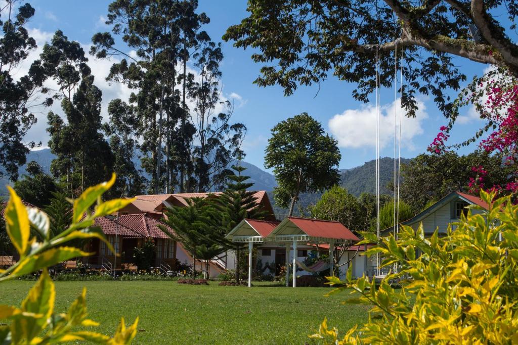 奧克薩潘帕的住宿－Cemayu Lodge，庭院内的景色