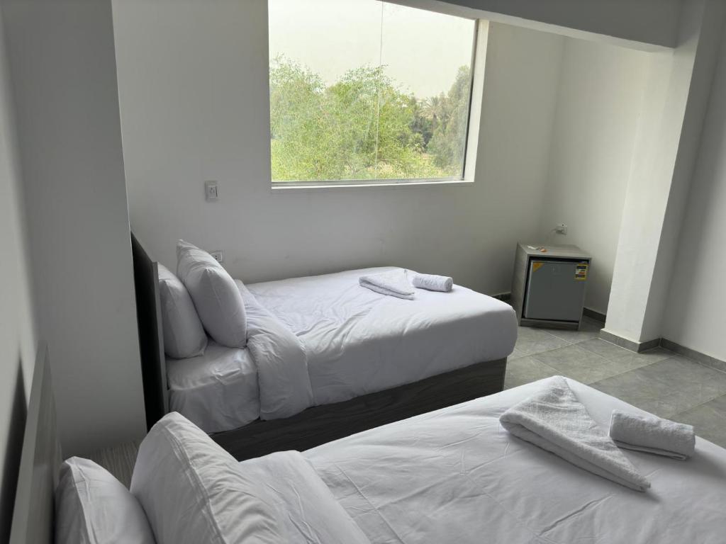 garden pyramid view - 3