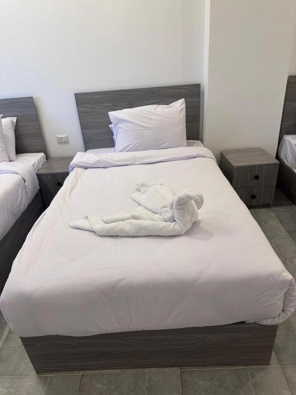 garden pyramid view - 18