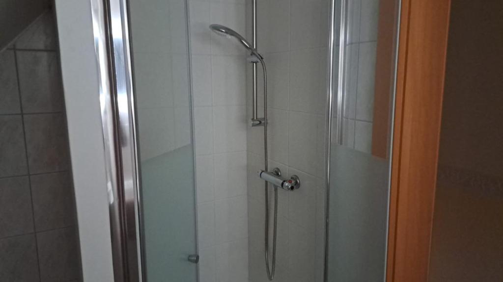 y baño con ducha y puerta de cristal. en In der Wachau, 