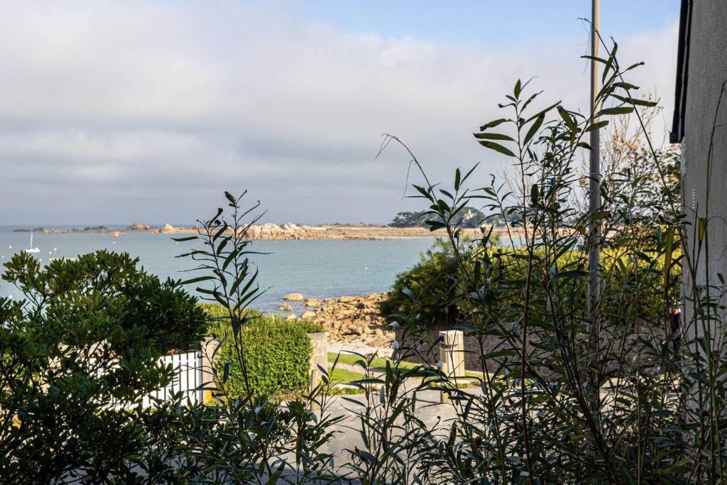 une vue sur une étendue d'eau avec des plantes dans l'établissement hjem petite, Port Blanc Facing the sea, à Penvénan