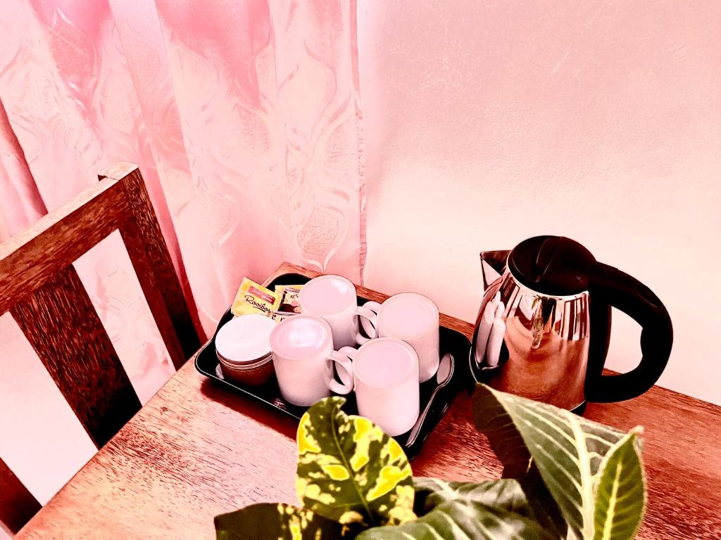 Příslušenství pro přípravu čaje a kávy v ubytování wannas house