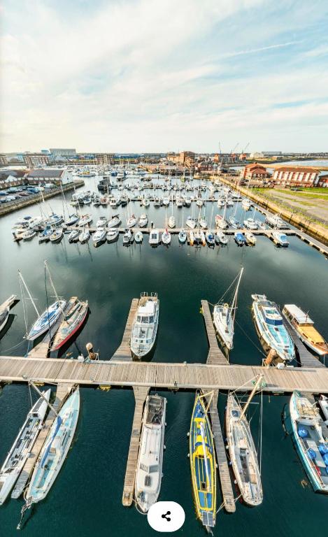 Ein Haufen Boote, die in einem Yachthafen angedockt sind. in der Unterkunft Angel Apartments Captains view Plush 2 bed apartment Hartlepool marina in Hartlepool