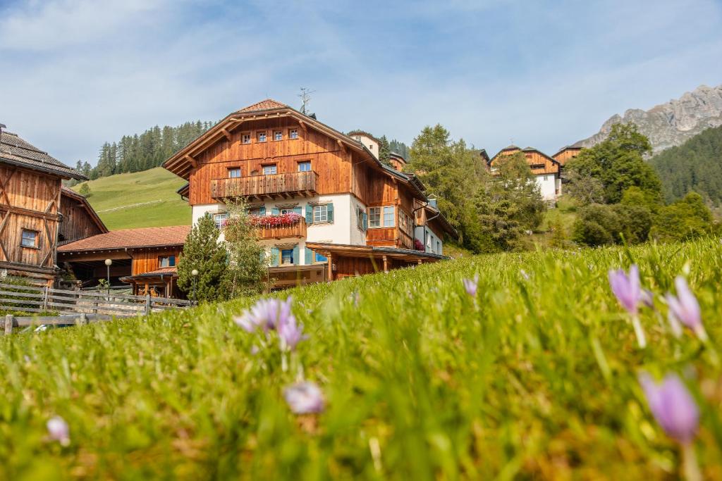 a house on a hill with a field of flowers at Tlisöra Speckstube in Frena