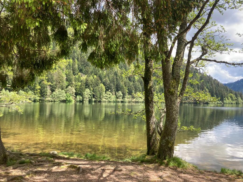 Príroda v okolí apartmánu