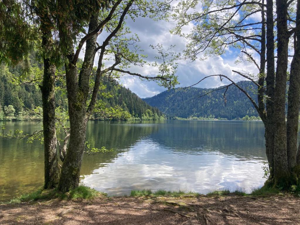 Príroda v okolí apartmánu