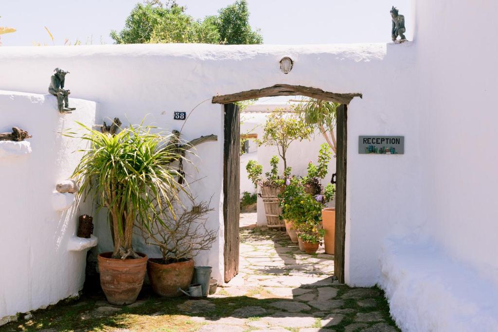 Vonkajšia záhrada v ubytovaní Can Quince Balafia Ibiza Hotel - Turismo de Interior