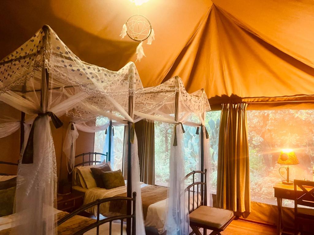 Postel nebo postele na pokoji v ubytování Ikweta Safari Camp