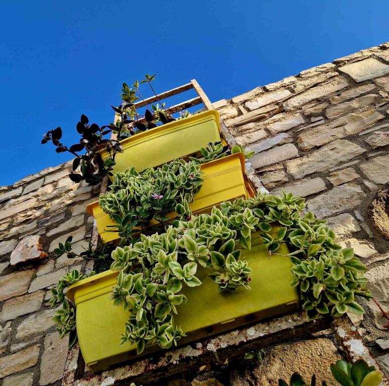 Fotografie z fotogalerie ubytování Kithia Vintage House v destinaci Faneroméni