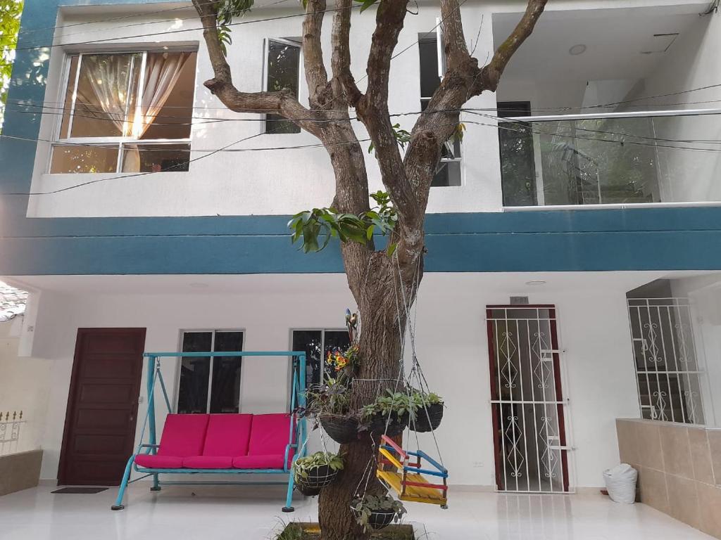 un árbol frente a una casa con dos sillas en Apartaestudio Cartagena 2P en Cartagena de Indias
