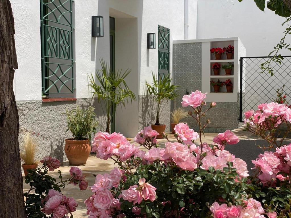 un jardín con flores rosas frente a un edificio en Les Filles (antiga Fonda de la Parra), en Deltebre