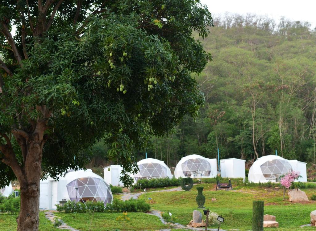 a group of white domes in a cemetery with a tree at NiNo San Glamping - Pak Chong in Pak Chong